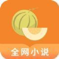 肉丸书吧APP最新版