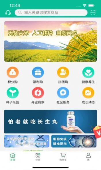 新恒爱ios版截图2