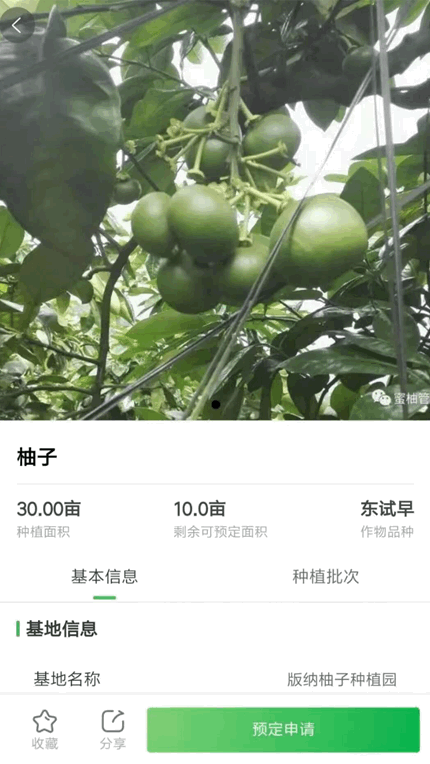 智云优选网页版截图2