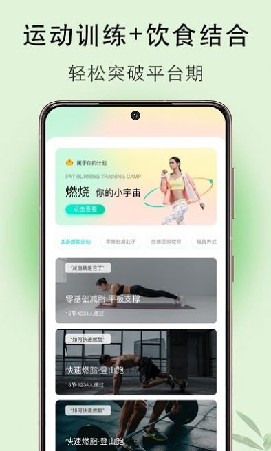 体重簿子网页版截图2