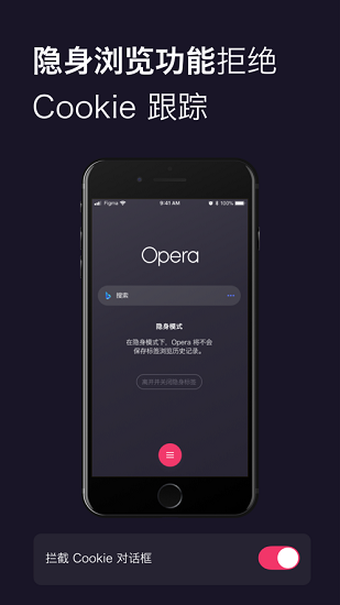 Opera浏览器破解版截图2