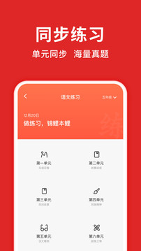 题拍拍app破解版截图3